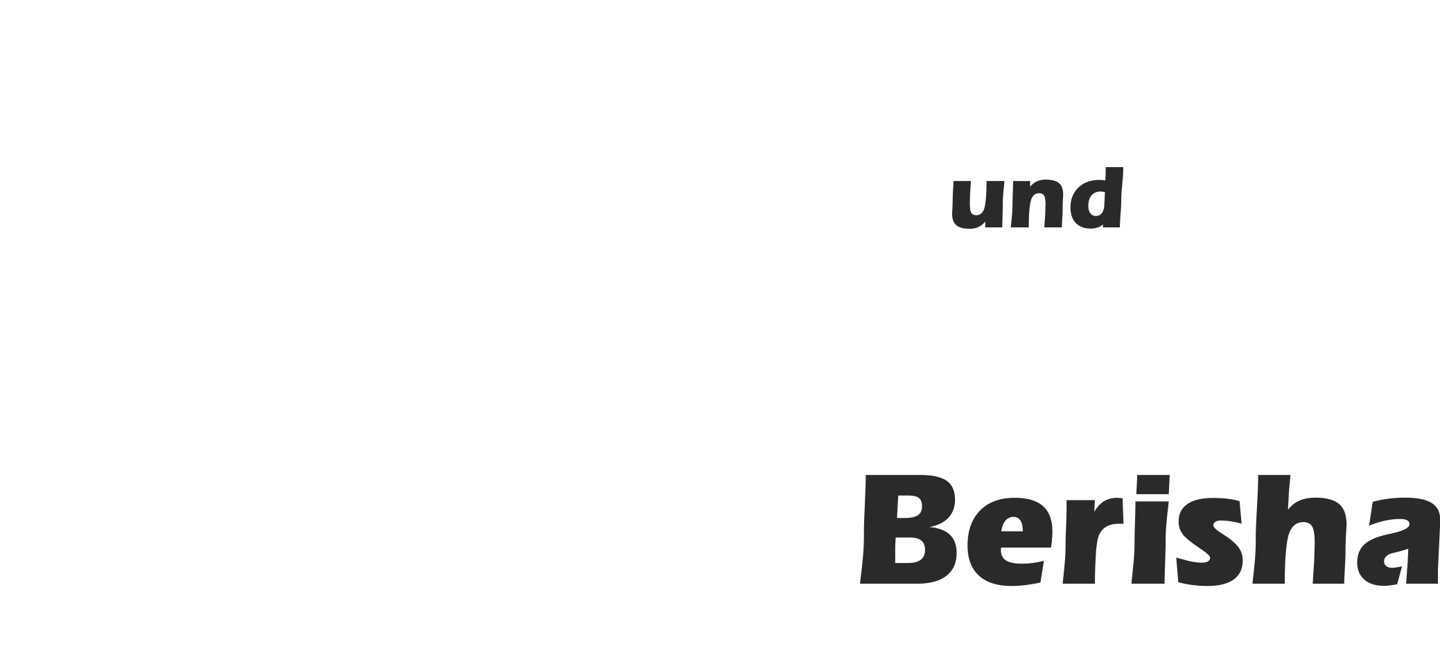 Fenster Berisha | Fenster & Türen | Neunkirchen